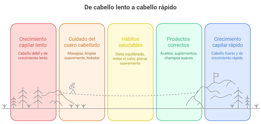 Infografía sobre como hacer crecer el cabello rapido: desde el crecimiento capilar lento hasta el rápido, con pasos como cuidado del cuero cabelludo, hábitos saludables y uso de productos correctos